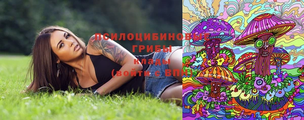 стафф Абаза